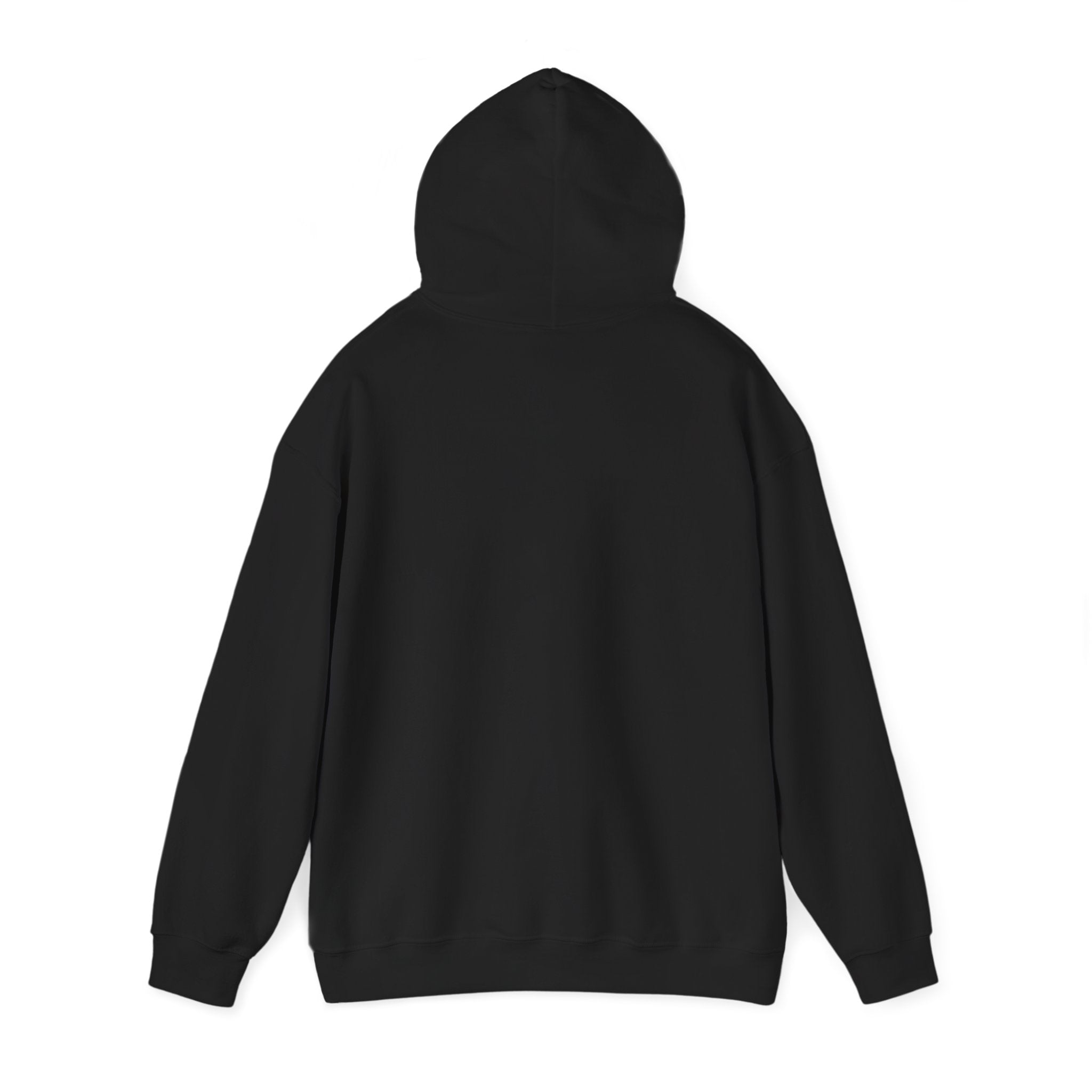 GNV Classic Hoodie black